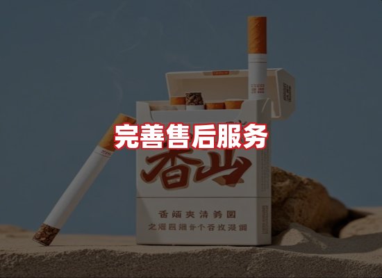 专业团队